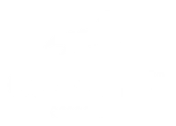 Cavalry LLC